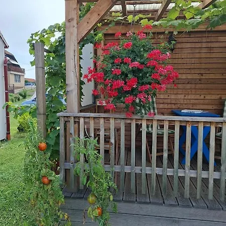Ferienhaus Pavlov24 - Domecek U Potoka *