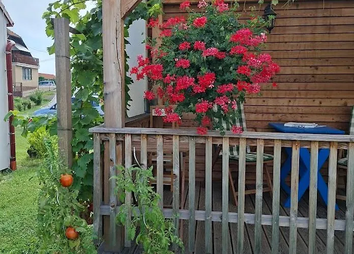 Prázdninový dům Pavlov24 - Domeček U Potoka *